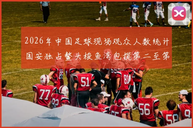 2026年中国足球现场观众人数统计国安独占鳌头梭鱼湾包揽第二至第七位