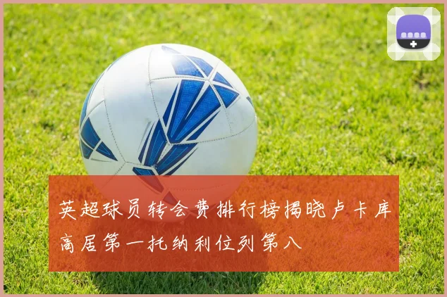 英超球员转会费排行榜揭晓卢卡库高居第一托纳利位列第八